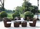 Double Coffee Table Outdoor Rattan Furniture, Sectional Sofa Sets